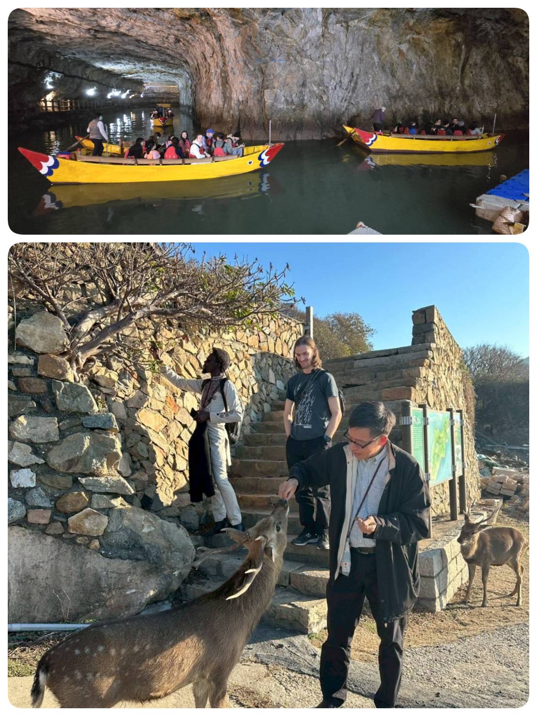 Naval tunnels and the island once used to raise sika deer as a wartime food source